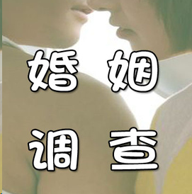 婚姻调查